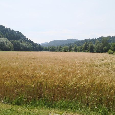 포드나트 Hiska Zeleni Raj 빌라 외부 사진